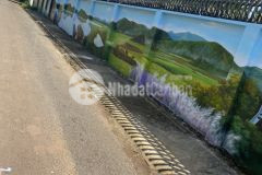 D562 bán đất hẻm cấp 1 buôn tang ju xã eakao bao giá khu vực