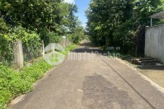 D567 bán đất hẻm cấp 1 siêu phẩm rẻ buôn tăng ju xã eakao bmt