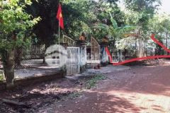 Mình tên tấn. mình có một lô đất vị trí rất hợp lý để đầu tư nuôi nhà yến. hoặc định cư đều rất tốt