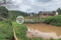 Bán mảnh đất mộc châu nhìn sang núi pha luông view đồi chè