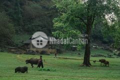 Đất nền sapa đường điện biên phủ nở hậu