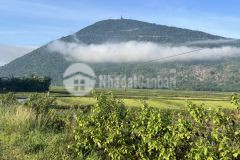 660t đất thổ cư ninh phú,ninh sơn thành phố tây ninh