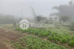 Bán đất sapa, lào cai s280m2