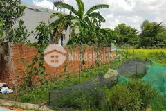 Gđ cần bán lô đất 100m2 5x20m ở mỹ phước 3, chính chủ, gần kcn, dân đông.