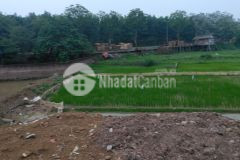 Bán lô đất 91m full thổ cư sát đại lộ thăng long thuộc đồng trúc. giá hơn 1tỷ