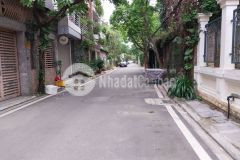 Bán gấp 100m2 đất, mt6.8m, phân lô, ô tô, kinh doanh, phố cổ linh, tư đình, long biên