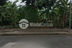 Đầu tư sinh lời khủng với lô đất khu tdc xa phươc khanh, huyên nhơn trach, tinh đông nai