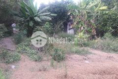 Bán 1040m2 đất vườn ấp mỹ đức phước lập tân phước tiền giang, chỉ 1.250 tỷ. lh0964603477.