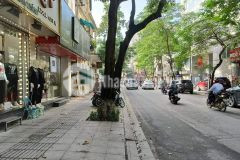 Siêu phẩm mặt phố kinh doanh siêu đỉnh lô góc 3 mặt thoáng giá yêu thương phân khúc hiếm.