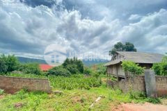 Bán mảnh đất tại mộc châu nhìn ra ql43 view cao đẹp