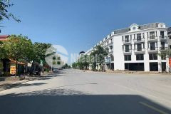 Ban gâp 254m2 đât biêt thư khu 31ha trâu quy, gia lâm, view shophouse sông hồng, siêu đep.