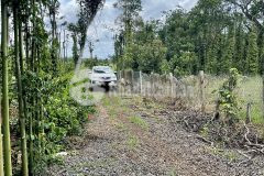 Chính chủ cần bán gấp 1.2 mẫu đất xã quảng thành, châu đức, bà. rịa vũng tàu. 9.89tỷ.