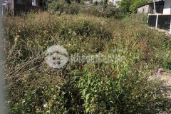 D1169 bán gấp lô đât măt tiên đương chinh trương văn hoan phương 9 tp đa lat