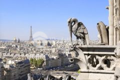 Bán đất đã xây nhà phường 11 tp vũng tàu