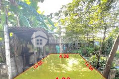 Ngay tt phú bài giá cực yêu thương