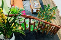 Chinh chu ban nha triêu khuc, 5 tâng nha đep ơ ngay, 45m gia 4.9 ty