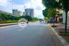 Bán nhà phố đàm quang trung long biên, 50m 5 tầng mt 5m, kd, 7.9 tỷ.