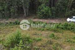 Còn sót lô đất vườn khánh bình giá chỉ 280km2