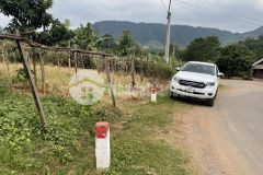 Mộc châu bán mảnh đất phù hợp làm homestay gà happy land