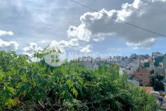 Ban đât măt tiên 273m2 nguyên an ninh phương 6 đa lat