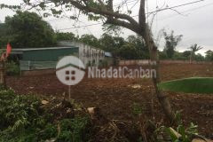 Mộc châu bán mảnh đất mặt đường ql43 phù hợp kinh doanh khách sạn nhà hàng