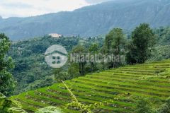 Bán đất y tý sapa 2, đón sóng quy hoạch, đã có sổ đỏ, săn mây tuyệt đẹp.