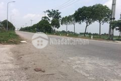 Bán đất đấu giá x2 sơn du nguyên khê đông anh đường 20m lô góc