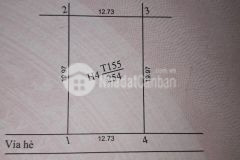 Hỏa tốc 254m2 khu 31ha,kinh doanh sầm uất bậc nhất quận gia lâm đối diện dãy shophouse sông hồng.