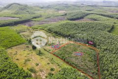 Còn sót lô đất vườn khánh bình