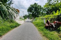 Bán đất nền 154m2 đường nguyễn viết xuân p.trà an bình thủy cần thơ giá 730tr cách mặt tiền 50m