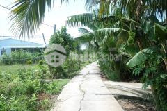 Bán 2 nền đất thích hợp phân lô ấp mỹ lương, xã mỹ phong, tp mỹ tho.