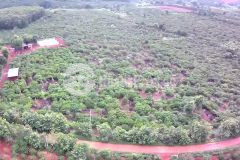 Cần bán hơn 8ha đất có hơn 140m mặt tiền đường nhự,trồng cà phê và sầu riêng tại đaklak