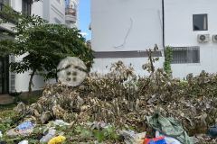 Bán nền có mương mở siêu hiếm ở đường số 1 gần hồ cảnh quan nam long