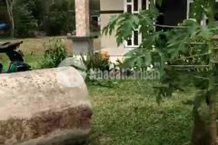 Bán nhà cấp 4 đường võ văn điều phước thạnh củ chi, shr, 4,5 tỷ. lh0938557040