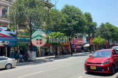 Bán đất tặng nhà mặt phố 29 kd ô tô đỗ vỉa hè 3m 0985810183