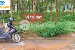 Cần bán lô đất 100m2 full thổ cư tại quang sơn lập thạch với giá rẻ bất ngờ