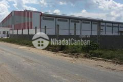 Cho thuê kho xưởng kcn hoàng gia, đức hoà, long an. tdt 1,5ha. dt xưởng và vp 11300m2.