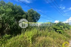 Mặt tiền đường nhựa 20m trung tâm thị trấn diên sanh, hải lăng quảng trị 0941076225