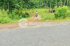 Xinh chào các bạn, mình tên tony, hôm nay mình có một lô đất mới giáp suối thích hợp đầu tư.