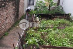 Đất thông tđc quỳnh đô, ô tô qua nhà lô góc kinh doanh, 46m2 2 tỷ 5.