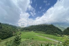 Mộc châu bán đất gần tl102 view đẹp vuôn vắn