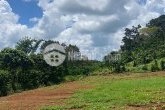 Gia đình cần bán lô đất hơn 1 sào