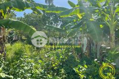 Bán đất nguyễn hoàng, đông lương, đông hà, quảng trị