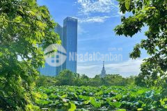 Bán gấp mảnh đất gần đường trục đa tốn, gia lâm, hn