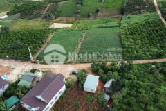 Bán đất nghỉ dưỡng vùng ven đà lạt hàng hot giá vip.