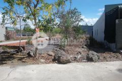 Cho thuê mặt bằng diện tích 900m đường hoàng hoa thám. p.2