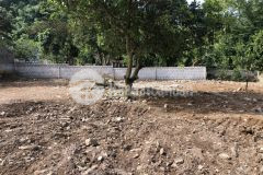 Bán gấp lô đất có tổng dt 1336m2 trong đó có 400m2 cách ql12b có 50m