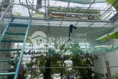 Bán nhà hxh thông sang đường llq p5 q11 114m giá chỉ 15,7tỷ tl