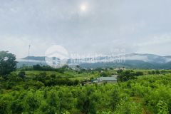 Bán gấp lô đất có dt 500m2 full thổ cư view triệu đô giá chỉ có 750tr