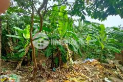 Cần bán 400m đất 9xtỷ mặt tiền rộng ôtô đỗ cửa thống nhất long biên đầu tư